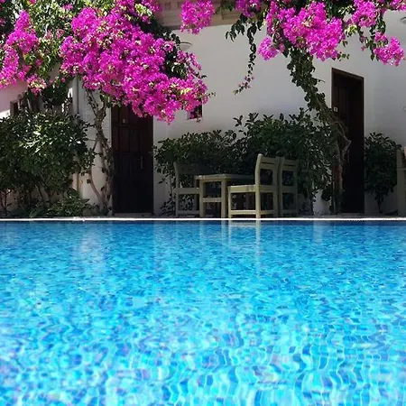 Hotel Boutique *